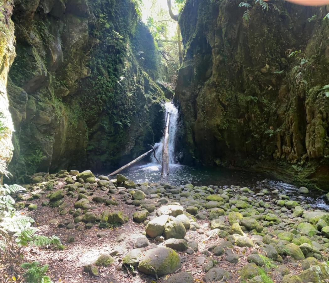 Faial da TerraCasa Auri别墅 外观 照片